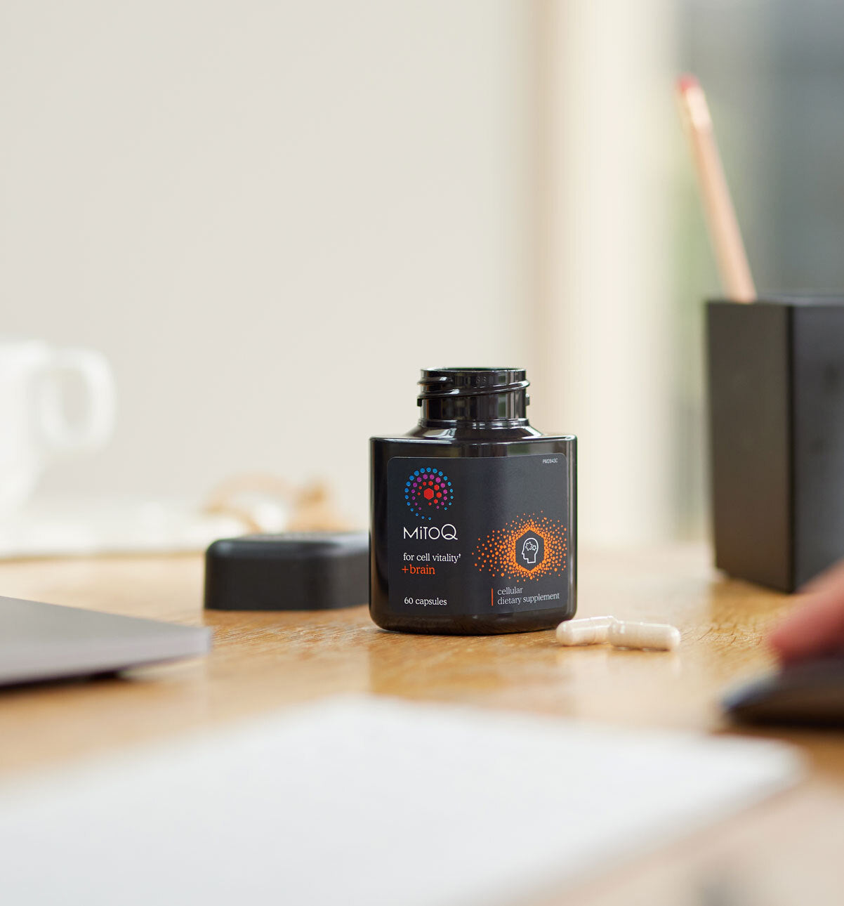 MitoQ +brain