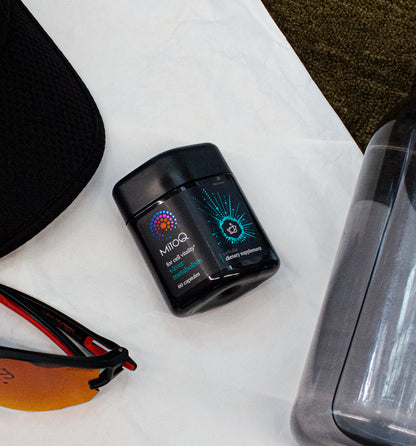 MitoQ +liver metabolism