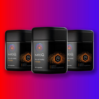 MitoQ +brain