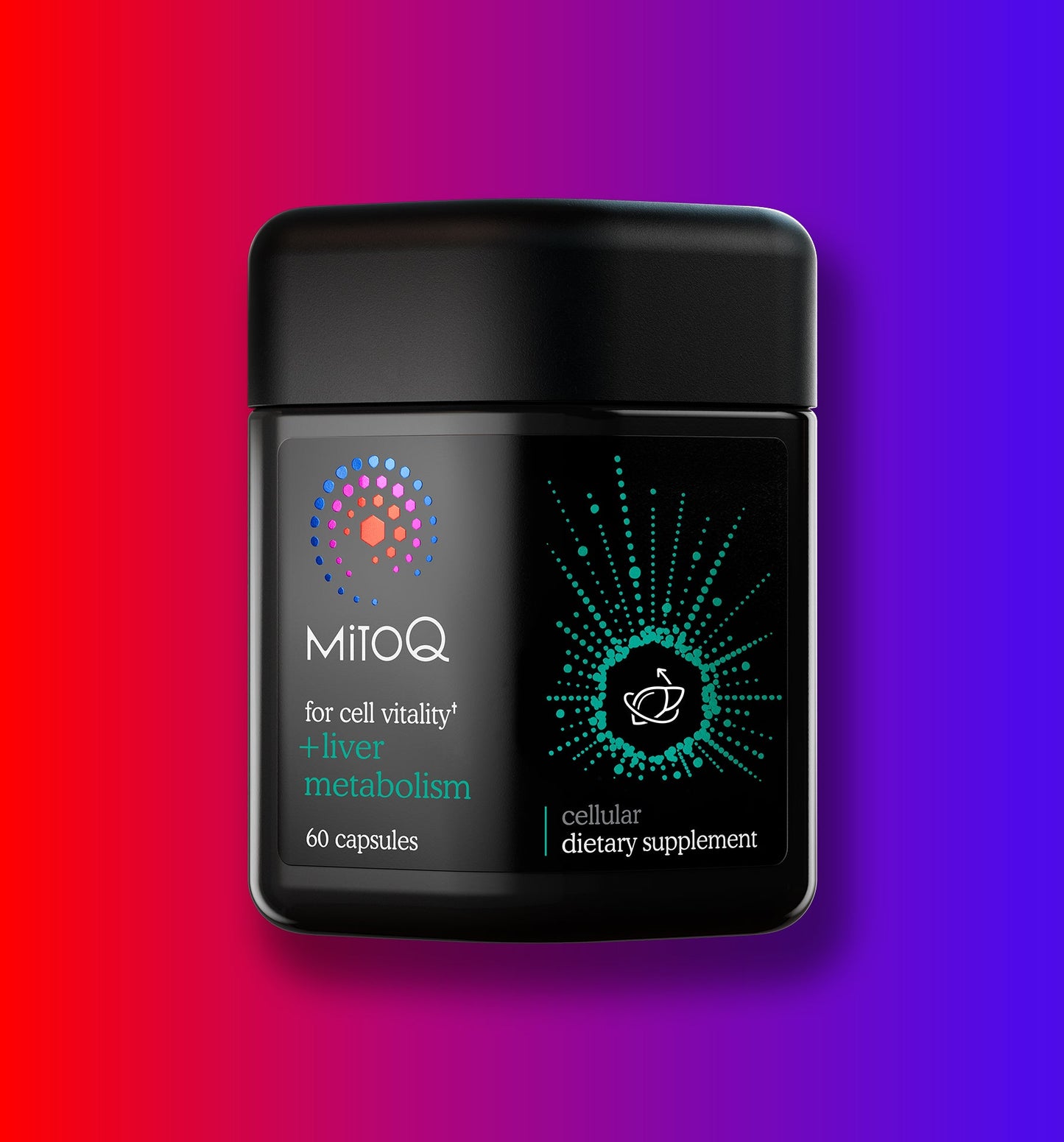 MitoQ +liver metabolism