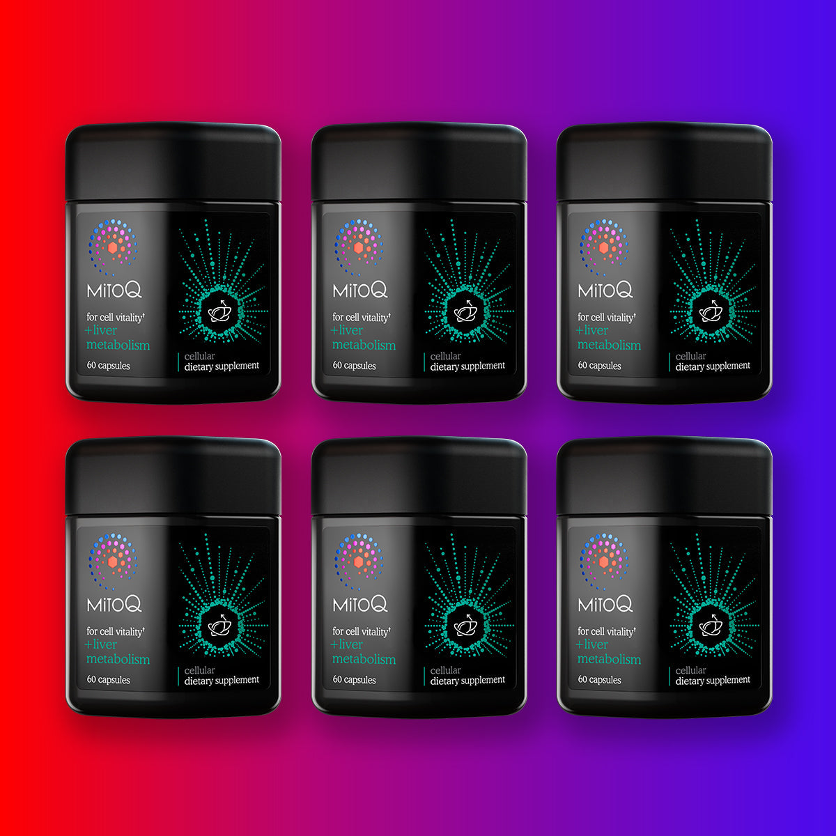 MitoQ +liver metabolism