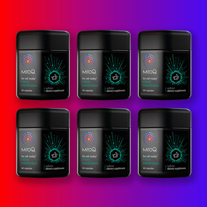 MitoQ +liver metabolism