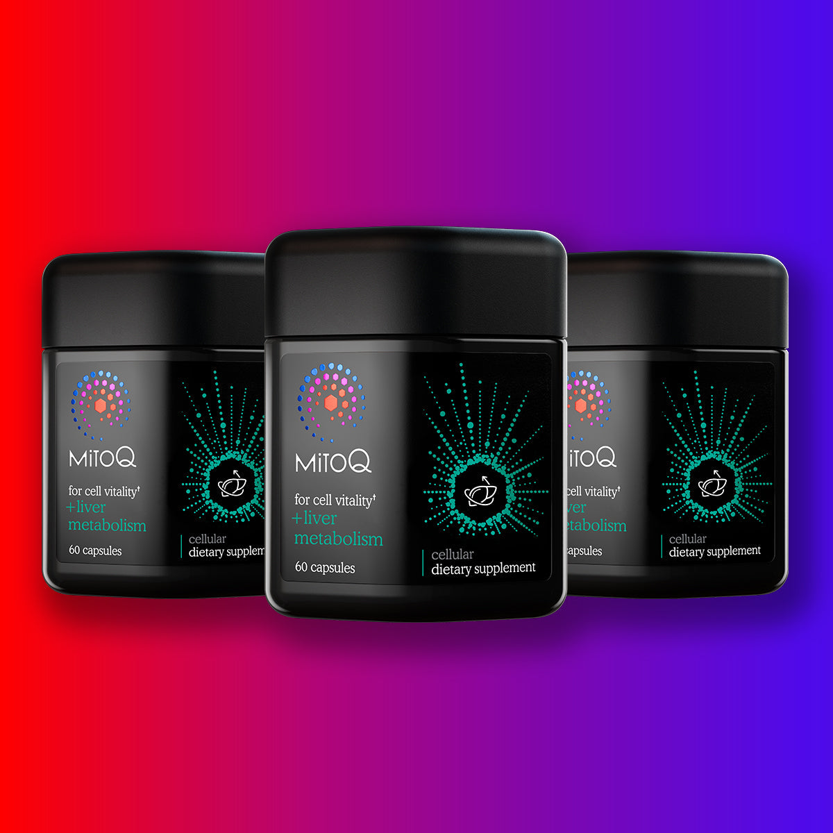 MitoQ +liver metabolism