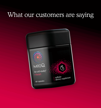 MitoQ +heart